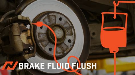 How To Flush Bmw Brake Fluid At Cornelia Armstrong Blog