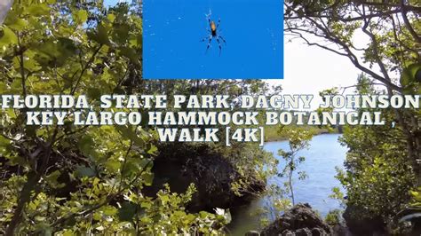 Florida Dagny Johnson Key Largo Hammock Botanical State Park Walk 4k