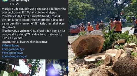 Viral Di Medsos Pertanyaan Ongkos Tebang Pohon Kalak Bpbd Klungkung