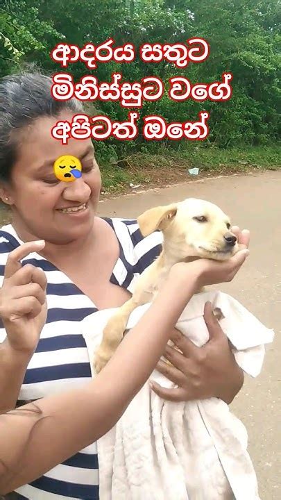 ආදරය ඔනේ උබලට විතරක්නෙවෙයි මිනිසු⁣නේ😪🙏trending Viral Animals Youtube