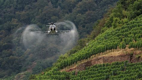 Der Rheinland Pfalz Ticker Welche Themen Am Montag Wichtig Sind