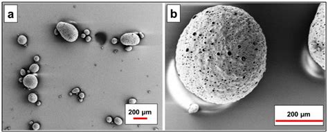 Applied Sciences Free Full Text Ion Exchange Miex® Gold Resin As A