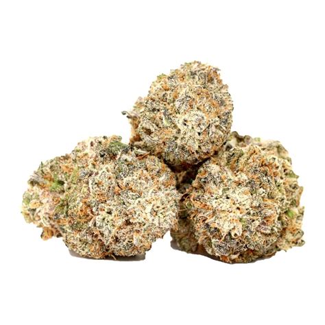 Buy Purple Blizzard Craft Bulk Buddy Online Dispensary Canada