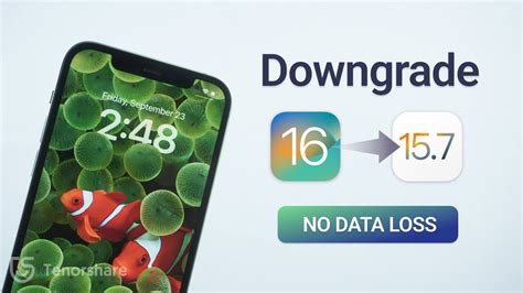 Latest Solution Downgrade From IOS 16 To IOS 15 7 NO DATA LOSS