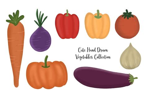 Un Conjunto De Lindos Vegetales Dibujados A Mano Ilustraci N Vector