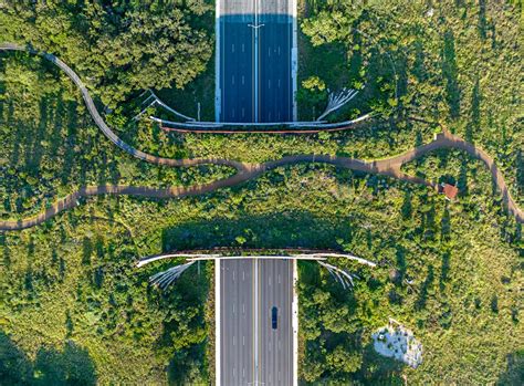 Plan Your Trip To The Land Bridge And Skywalk — Phil Hardberger Park
