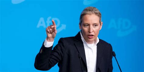 Wie Alice Weidel In Fake News Falle Tappte Und Was Wir Daraus Lernen