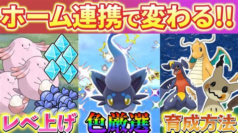 【ポケモンsv 色違い】ポケモンホーム連携で時代が変わる！新時代のレベル上げ・色違い厳選・育成方法！ ポケモン関連情報のまとめ動画