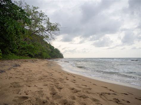 Qu Hacer En Puerto Viejo De Talamanca Y Alrededores Playas