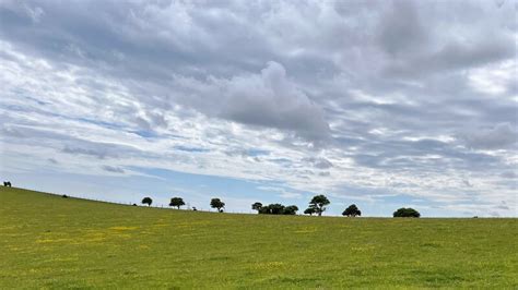 Fence And Bushes Sw Of Mossy Bottom Ian Cunliffe Cc By Sa