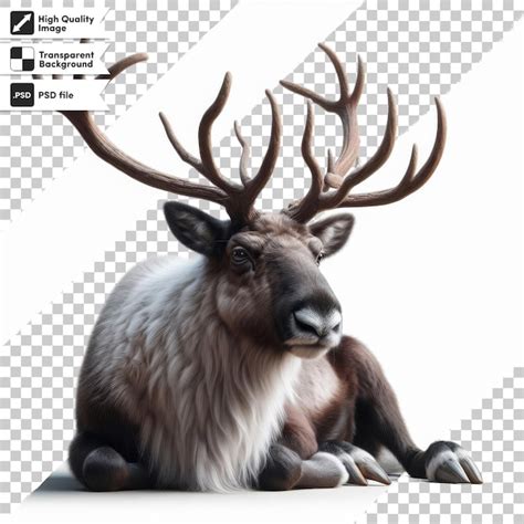 Premium Psd A Deer With Antlers On Its Head Is Shown On A White