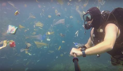 Video Scuba Diver Swims Through Plastic Wave Of Pollution Off Coast Of