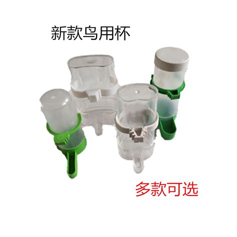 Купить Сгущаться Крапивник брат восемь брат птица себя шаг питьевой ...