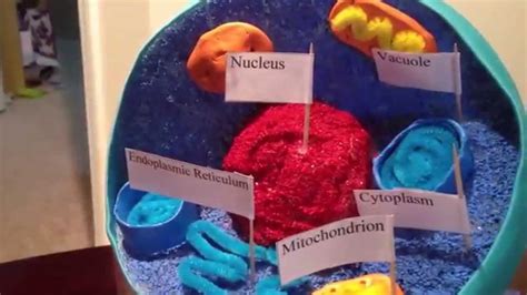 Animal Cell Model Diagram Project Parts Structure Labeled Coloring and ...