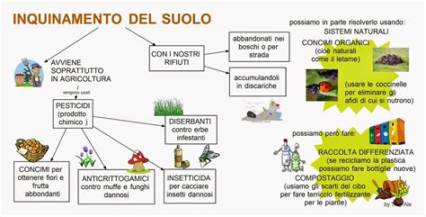 INQUINAMENTO Dislessia Passodopopasso2