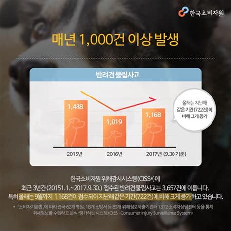 개 물림 사고 매년 증가 개에게 물렸을 때 응급처치법