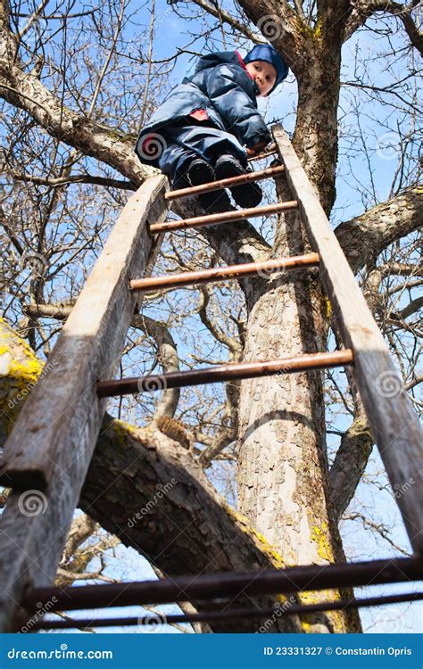 Climbing up tree stock image. Image of climb, tree, caucasian - 23331327