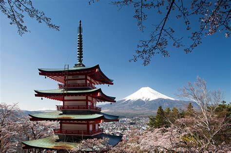 Japan Cherry Blossoms Pagoda At Bild Kaufen 70413396 Lookphotos