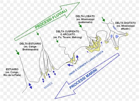 23+ River Delta Diagram - AnirudhParker