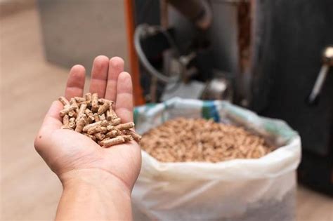 Ile Kosztuje Piec Na Pellet Jaka Cena Pieca Z Monta Em Od Czego