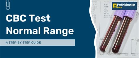 Understanding The CBC Test Normal Range A Step By Step Guide