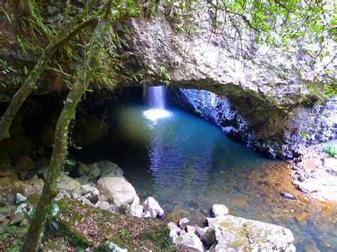 National Park Odyssey Natural Bridge Springbrook National Park QLD