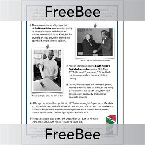 Free Nelson Mandela Fact File By Planbee