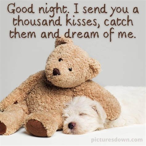 Good Night Tuesday Image Bear Picturesdown