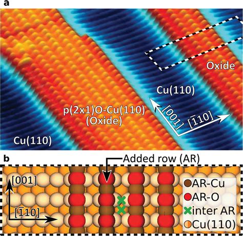 Benchmarking Atomically Defined AFM Tips For Chemical Selective Imaging