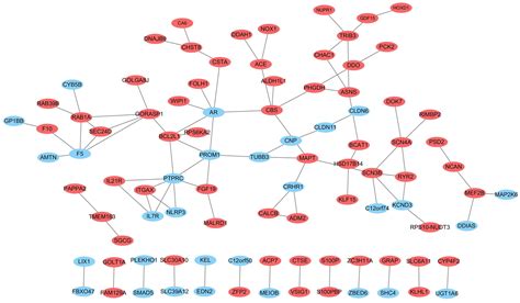 Frontiers Transcriptome Analysis Of Ivosidenib Mediated Inhibitory