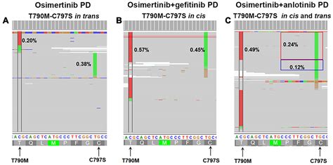 Combination Of Osimertinib And Anlotinib For Treating Nsclc Ott