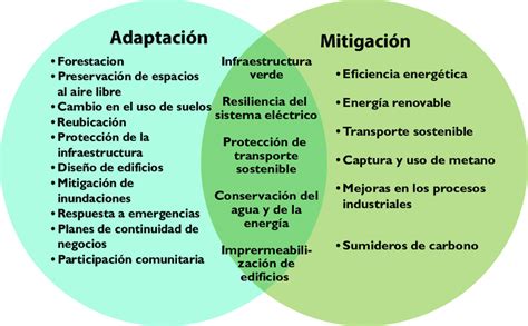 Ejemplo De Sinergias Entre Adaptación Y Mitigación Del Cambio Climático Download Scientific