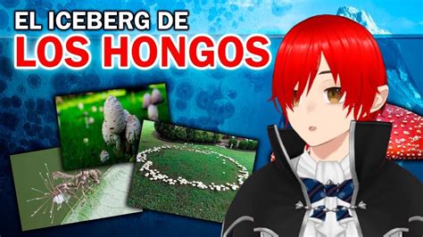 Reaccionando Al Iceberg De Los Hongos Explicado YouTube