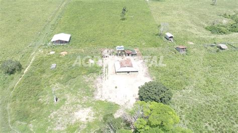 Fazenda Venda No Par Paragominas Ha Agroportal