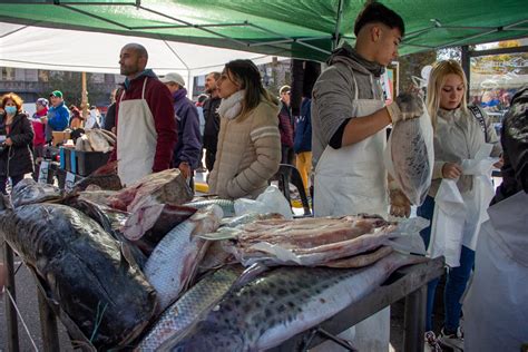 M S De Mil Kilos De Pescado Vendidos En El Canoazo Por La Ley De