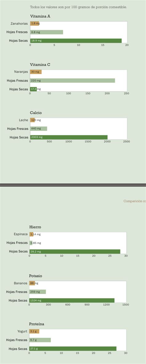 Cuestionamientos A La Moringa Huertas Urbanas