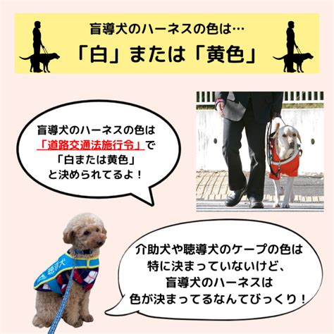 Faq 0044「盲導犬のハーネスの色って？」｜特定非営利活動法人 日本補助犬情報センター