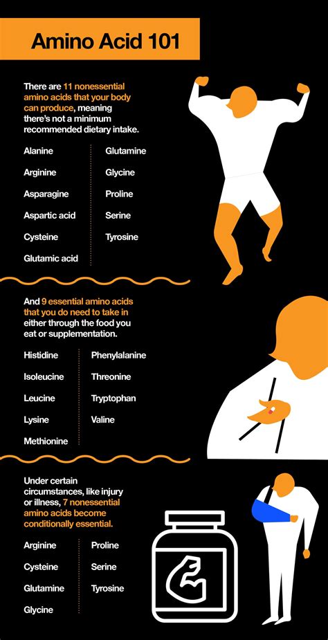 Glutamic Acid Benefits