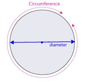 Perimeter and Area of a Circle - Formulas and Examples - Neurochispas