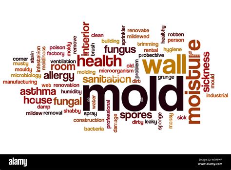 Mold Word Cloud Concept Stock Photo Alamy