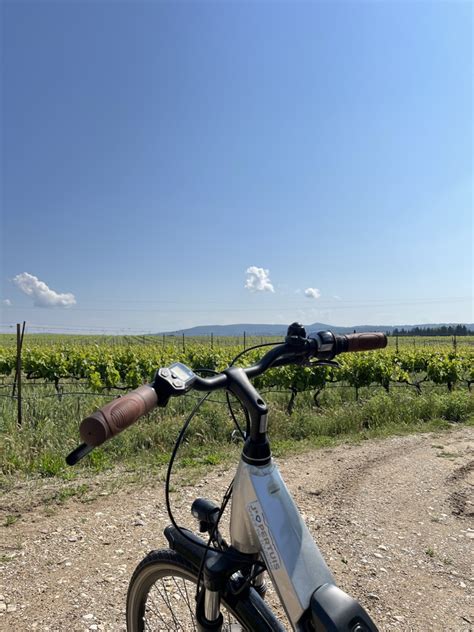 Location Vélo Office de Tourisme de Pertuis Aix en Provence