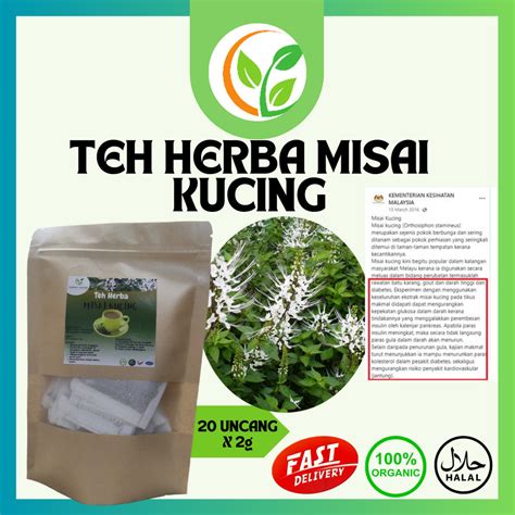 20 Uncang Teh Misai Kucing Orthosiphon Aristatus Tea Organic Drink