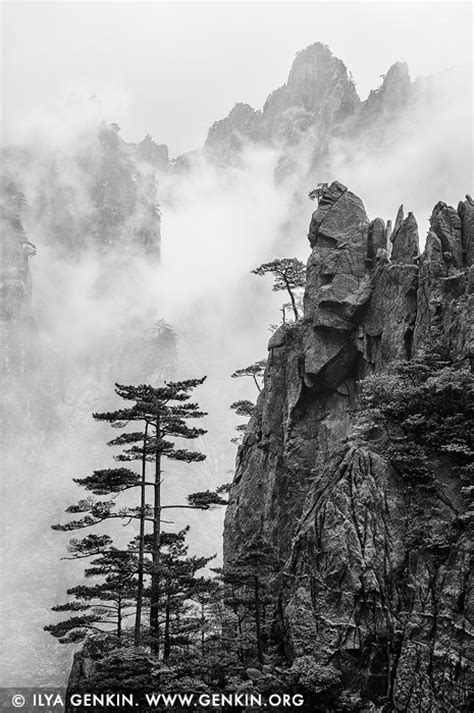 Huangshan Mountains in Clouds Print, Photos | Fine Art Landscape ...