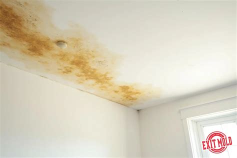 How To Clear HPD Violations In New York