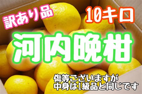 ⭐️超大特価⭐️‼️7枚様限定‼️訳あり品‼️河内晩柑 10キロ【送料無料】 メルカリ