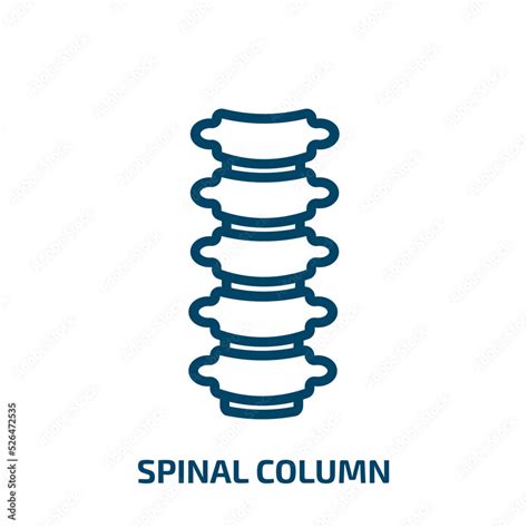 Spinal Column Icon From Medical Collection Thin Linear Spinal Column