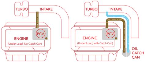 Catch Can Diagram