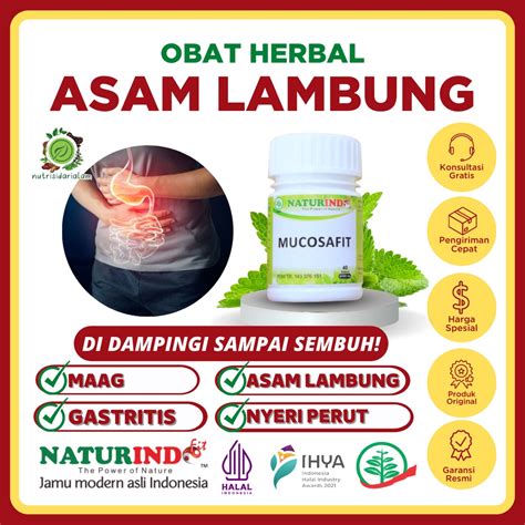 Jual Obat Asam Lambung Herbal Gastritis Sakit Perut Maag Maagh Mual