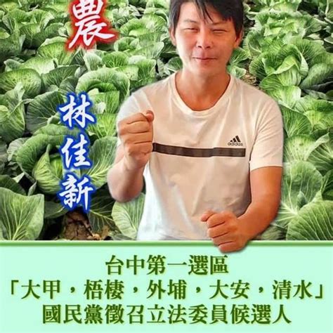 國民黨不分區太爛 最強菜農林佳新提「黃金陣容」 新聞 中時新聞網