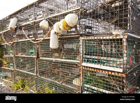 Lobster Traps And Buoys Stock Photo Alamy